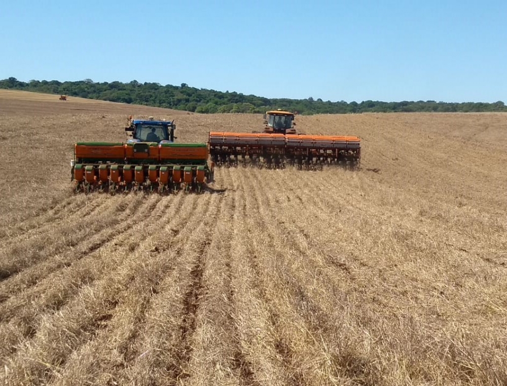 Finalizando a colheita do trigo e iniciando a semeadura da soja